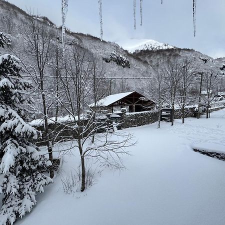 Biocinovici Vikendica Villa โคลาชิน ภายนอก รูปภาพ